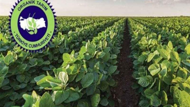 2023 Üretim Yılı Organik Tarım Destekleme Ödemesi Desteği Askı Listeleri Yayınlandı