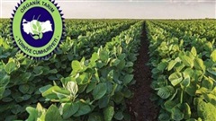 2023 Üretim Yılı Organik Tarım Destekleme Ödemesi Desteği Askı Listeleri Yayınlandı